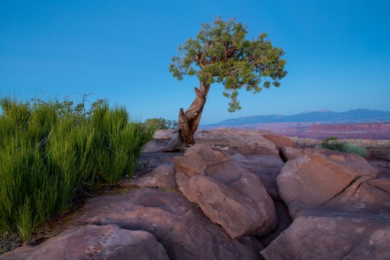 Eco-Friendly Outdoor Adventures: Embracing Nature Responsibly