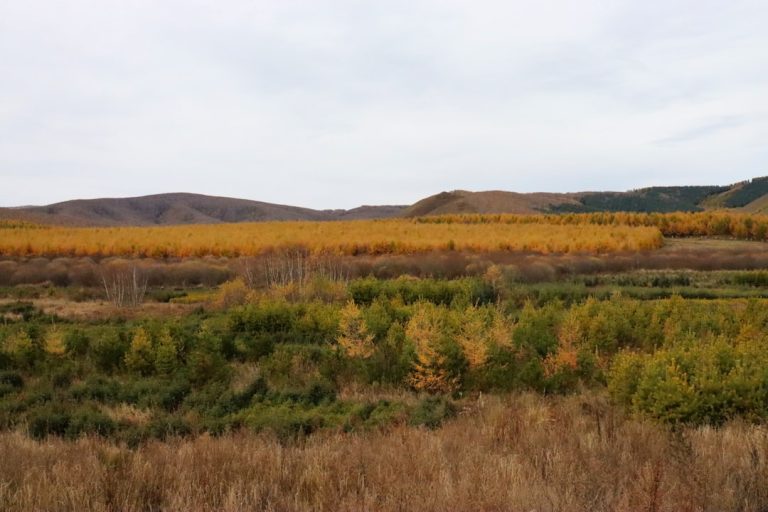 The Art of Slow Travel: Embracing the Journey Beyond the Destination